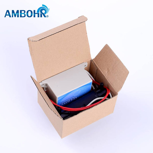 AMBOHR CDT-700 300mg/hr Ozone output Ozone Generator for Washing Friuit and Vegetables Purifier